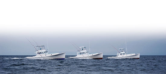 Albatross Fleet three boats