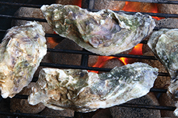Oyster Roasts on the Outer Banks