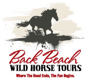 Back Beach Wild Horse Tours logo