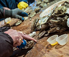 0th Annual Stumpy Point Oyster Feast