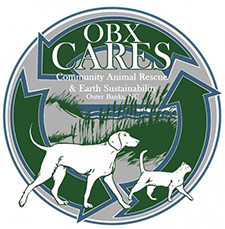 OBX Cares Earth Day Event