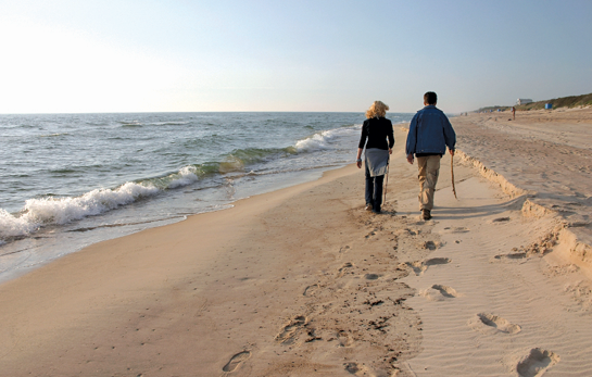 Spring walk on the beach