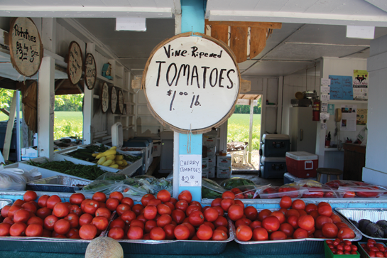 Roadside Market in Currituck County