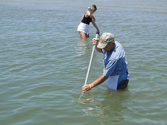 Clamming on the Outer Banks