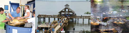 North Carolina Aquarium on Roanoke Island