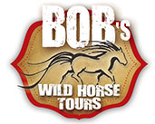 Bobs Wild Horse Tour logo