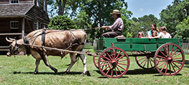  Island Farm in Manteo NC