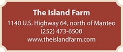  Island Farm in Manteo NC