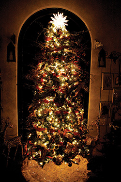 Decorated Tree at The Elizabethan Gardens