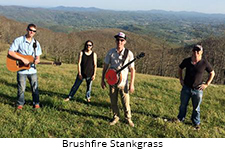 Brushfire Stankgrass