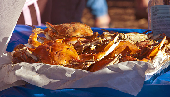 Outer Banks blue crabs 