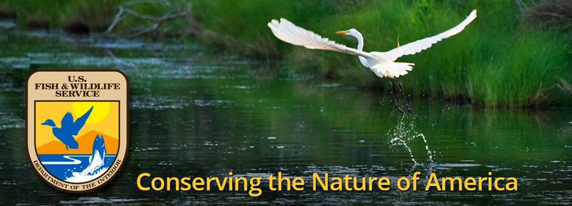 Coastal North Carolina National Wildlife Refuges