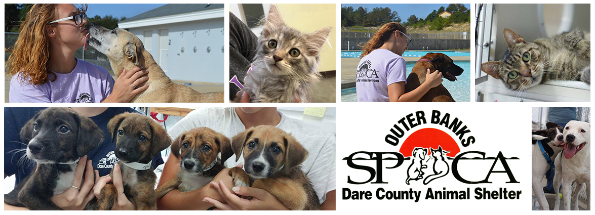 Outer Banks SPCA