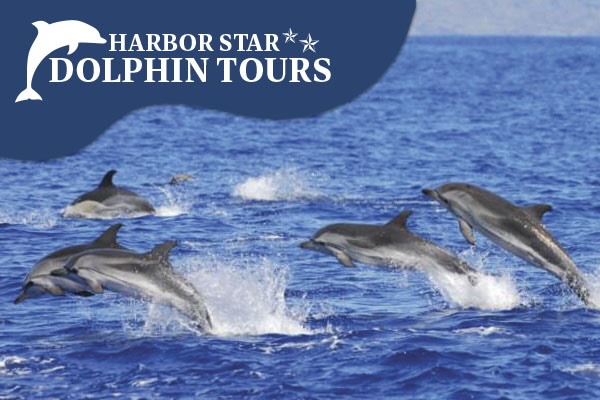 Harbor Star Dolphin Tours