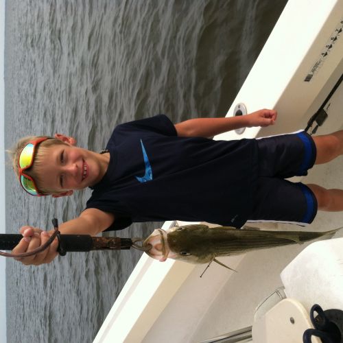 T-Time Charters, Pamlico sound rockfish
