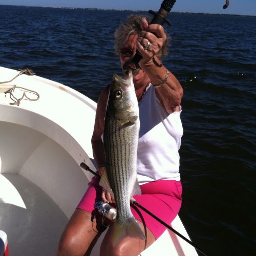T-Time Charters, Good stripers in the sound