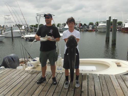 Pirate's Cove Marina, Mixed Bag