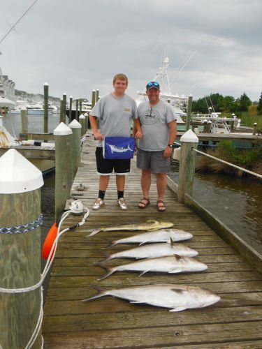 Pirate's Cove Marina, Marlin release