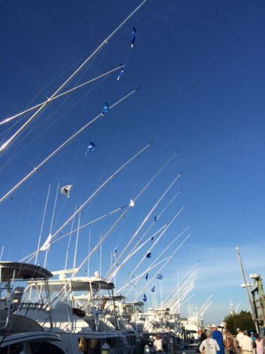 Pirate's Cove Marina, Calm After the Storm