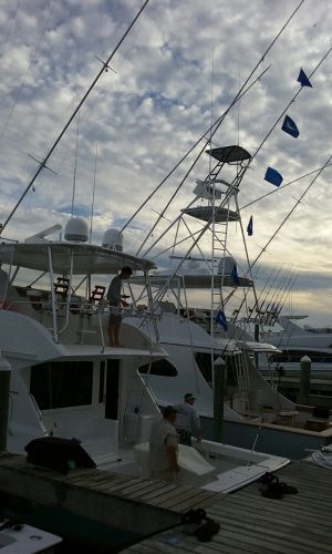 Pirate's Cove Marina, Mackerel, Mahi and Marlin OH MY