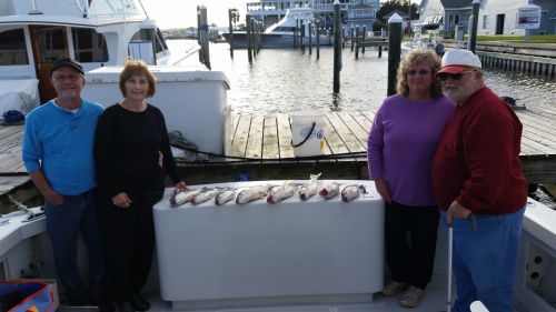 Pirate's Cove Marina, Striper!