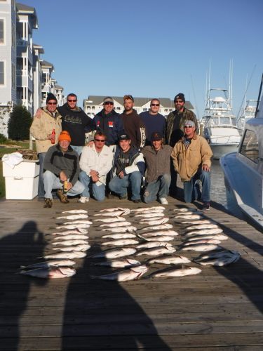 Pirate's Cove Marina, Rockfish!