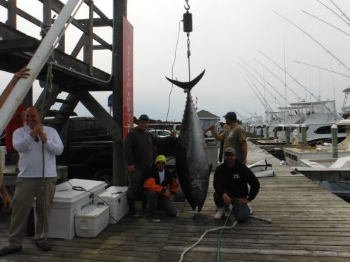 Pirate's Cove Marina, Bluefin!
