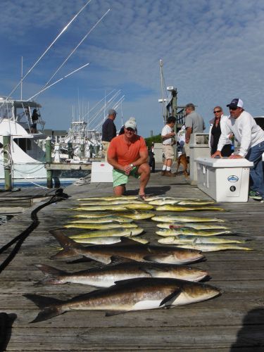 Pirate's Cove Marina, Yellowfin, Dolphin, and Cobia!