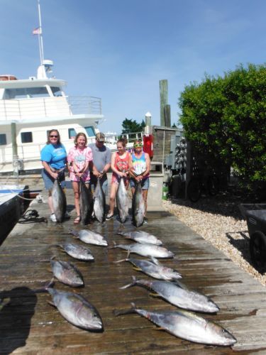Pirate's Cove Marina, Tuna!