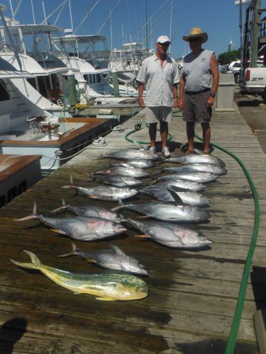 Pirate's Cove Marina, From Monday's Catch