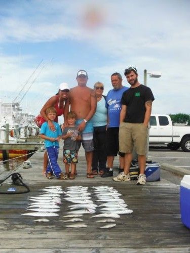 Pirate's Cove Marina, A Day For Dolphin!
