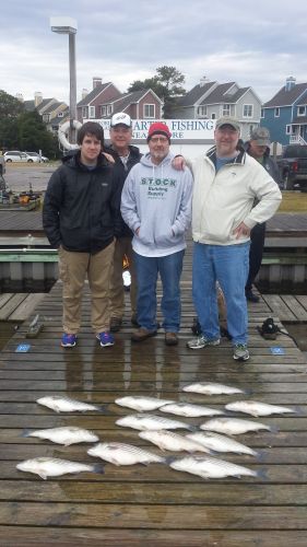 Pirate's Cove Marina, Rockfish Are Biting