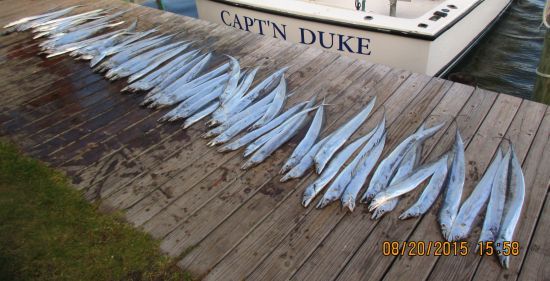 Oregon Inlet Fishing Center, Near-Shore Fleet @ Oregon Inlet Fishing Center