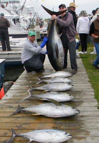 Oregon Inlet Fishing Center, Fishing Fun Awesome Saturday 4-25-15