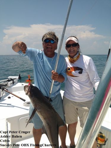 TW’s Bait & Tackle, TW's Daily Fishing Report. 6/12/15