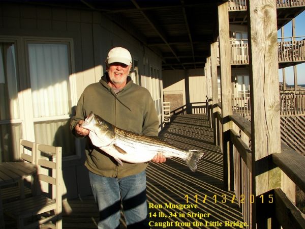TW’s Bait & Tackle, TW's Daily Fishing Report. 11/15/15