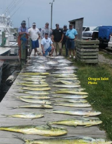 TW’s Bait & Tackle, TW's Daily Fishing Report. 5/8/15