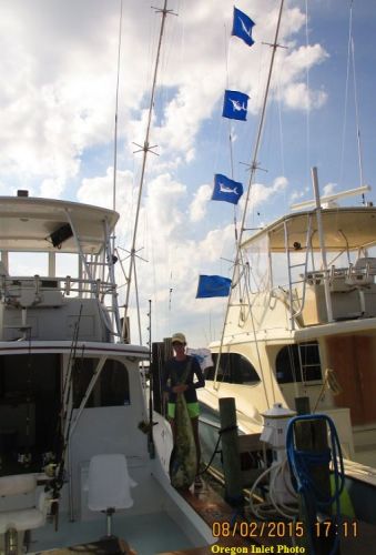 TW’s Bait & Tackle, TW's Daily Fishing Report. 8/3/15