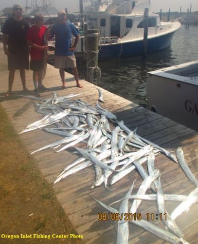 TW’s Bait & Tackle, TW's Daily Fishing Report. 8/7/15