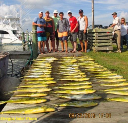 TW’s Bait & Tackle, TW's Daily Fishing Report. 8/23/15