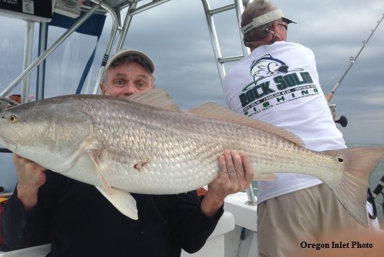 TW’s Bait & Tackle, TW's Daily Fsihing Report. 8/28/15