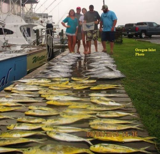 TW’s Bait & Tackle, TW's Daily Fishing Report. 9/10/15
