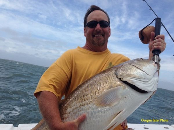 TW’s Bait & Tackle, TW's Daily fishing Report. 9/23/15