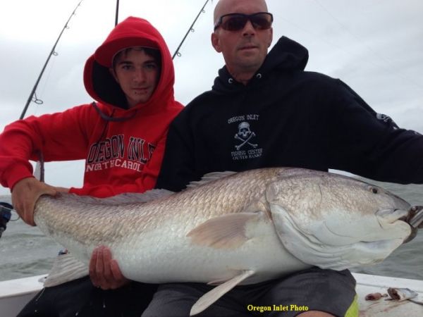 TW’s Bait & Tackle, TW's Daily Fishing Report. 9/24/15