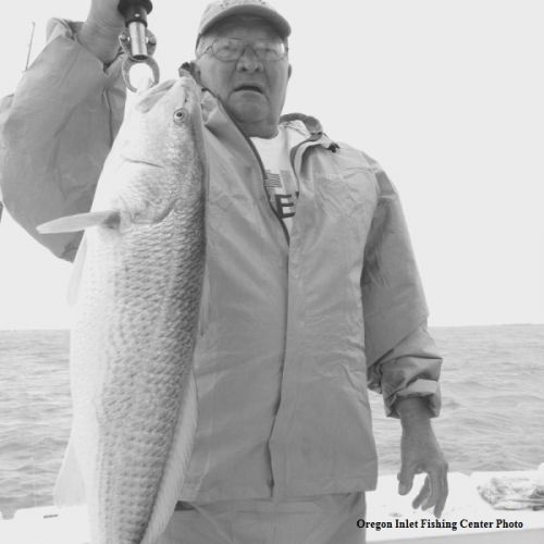 TW’s Bait & Tackle, TW's Daily Fishing Report. 9/25/15