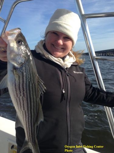 TW’s Bait & Tackle, TW's Daily Fishing Report. 11/22/15