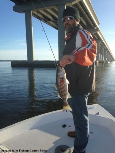 TW’s Bait & Tackle, TW's Daily Fishing Report. 12/1/15