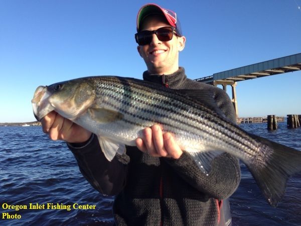 TW’s Bait & Tackle, TW's Daily Fishing Report. 12/17/15