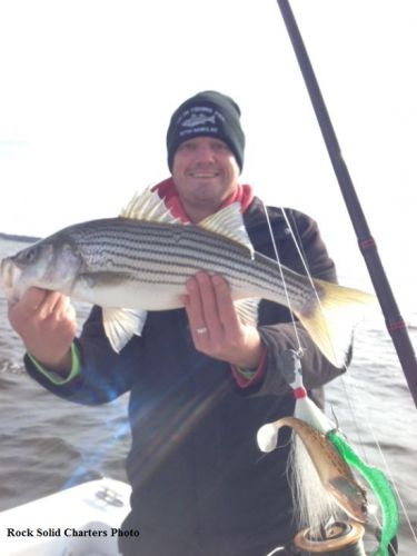 TW’s Bait & Tackle, Tw's Daily Fishing Report. 12/5/15