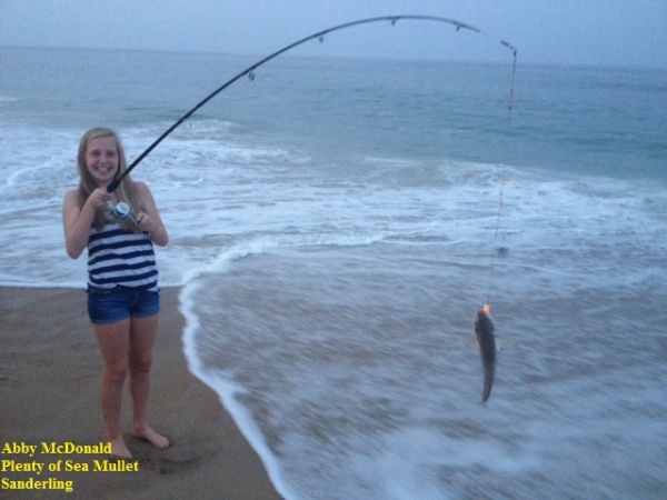 TW’s Bait & Tackle, TW's Daily fishing Report. 7/2/15